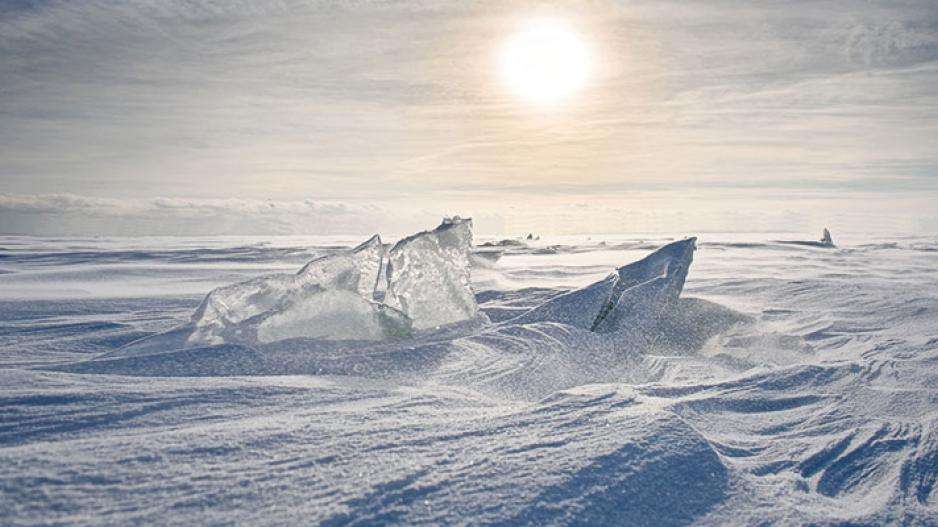From Antarctica to the tropical swamps of Florida
